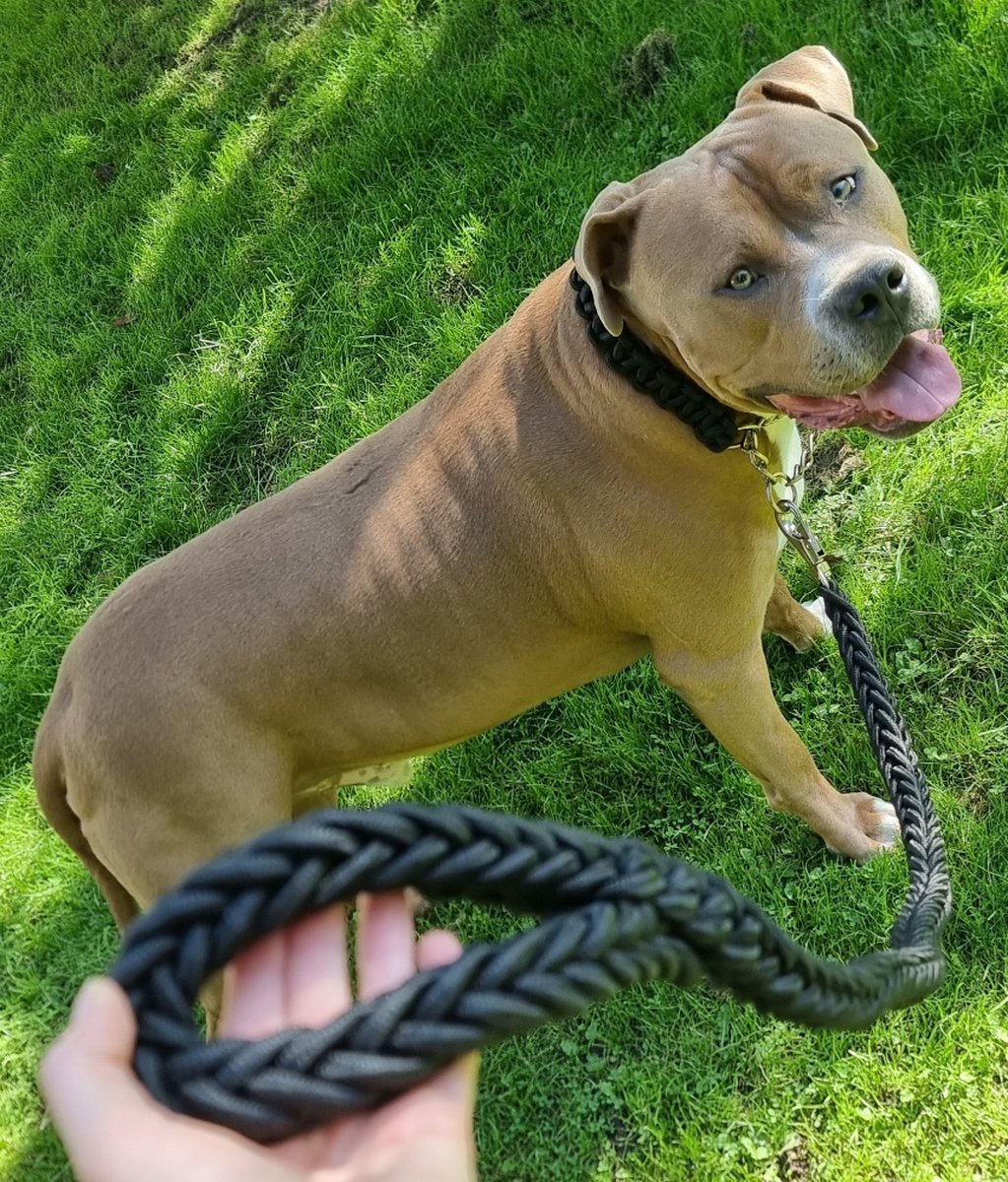PSH honden conditioner: professionele verzorging voor elke vacht | KenD online
