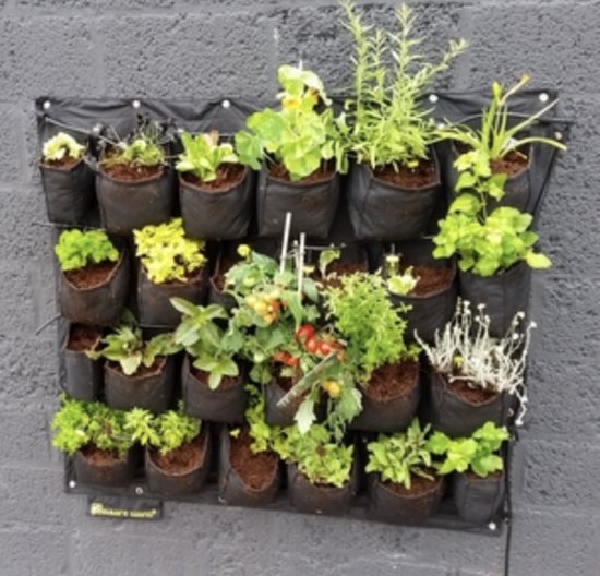 Verticale tuin met 20 vakken, gevuld met diverse groene planten en tomatenplanten.