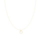 OOZOO Jewellery - Goudkleurige ketting met een appel - SN-2043
