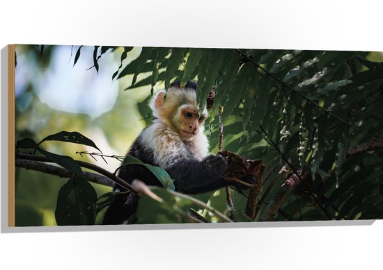 Hout - Zwart witte kleine aap zit in boom - 100x50 cm - 9 mm dik - Foto op Hout (Met Ophangsysteem)