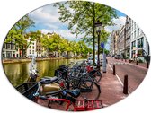 Dibond Ovaal - Rij Fiets Geparkeerd langs de Gracht in Amsterdam - 80x60 cm Foto op Ovaal (Met Ophangsysteem)