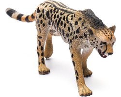 COLLECTA Figurine - Koning Cheetah - (L) - Wilde Dieren - Handgeschilderd - Miniatuur