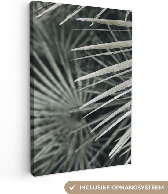 Canvas Schilderij Bladeren - Groen - Palm - 20x30 cm - Wanddecoratie