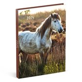Lannoo Graphics - Agenda 2024 - Agenda 2024 - MES AMIS PRÉFÉRÉS - Horse White Field - 7j/2p - 4Langues - 110 x 150 mm