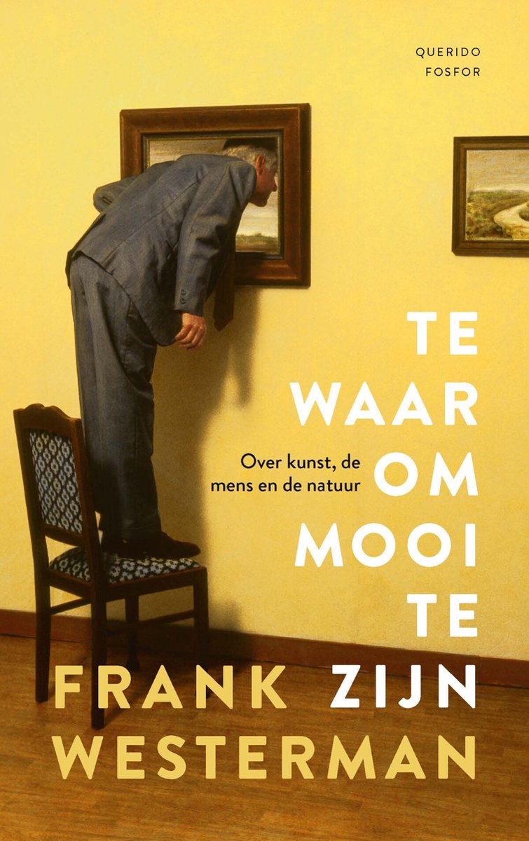 Omslag van Te waar om mooi te zijn