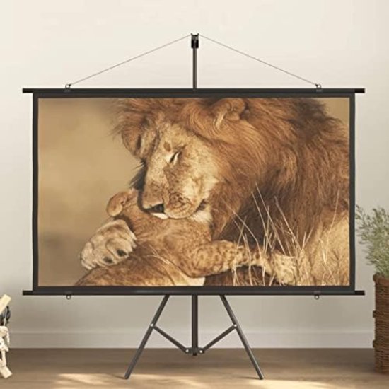 Nince Beamer - Input tot Full HD - 7000 Lumen - Streamen Vanaf Je Telefoon Met WiFi