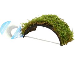 Kokosnoot armband met Javamos - Mos op aquarium ornament - Aquariumplanten - Aquarium decoratie - Moerings