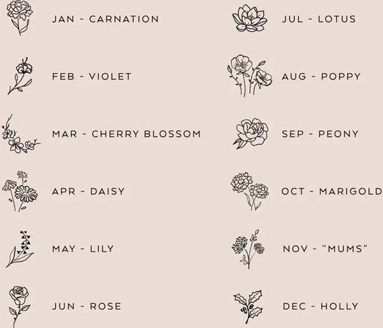 Rosey’s® - Geboortesteenketting januari - Geboortesteenketting - geboortesteen januari - rose gold - Geboortesteen - Kraamcadeau - Babyshower - Moederdag - geboortesteenketting - Kerstcadeau vrouw - Sint cadeau vrouw - Geboortesteen ketting januari van Merkloos — afbeelding 5