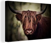 Canvas Schilderij Schotse hooglander - Licht - Portret - Natuur - 90x60 cm - Wanddecoratie