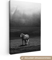 Canvas schilderij - Paard - Landschap - Zwart - Wit - Foto op canvas - Canvasdoek - 40x60 cm - Schilderijen op canvas