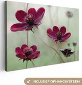 Canvas schilderij - Bloemen - Botanisch - Rood - Natuur - Canvas doek - Schilderij bloemen - 180x120 cm - Foto op canvas
