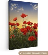 Canvas schilderij - Bloemen - Klaproos - Rood - Zonsondergang - Schilderij bloemen - Foto op canvas - 60x90 cm - Canvasdoek