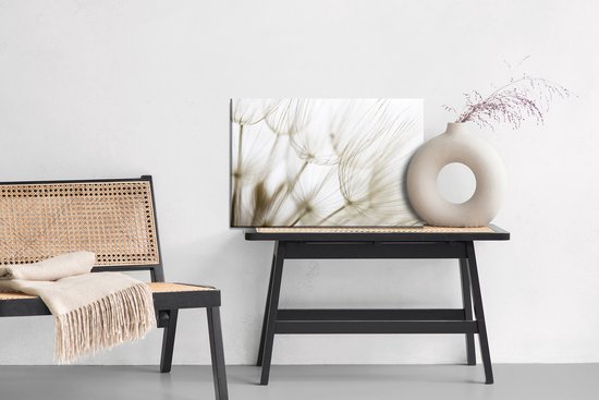 Painting King - Peinture sur toile Graines - 30 x 20 cm