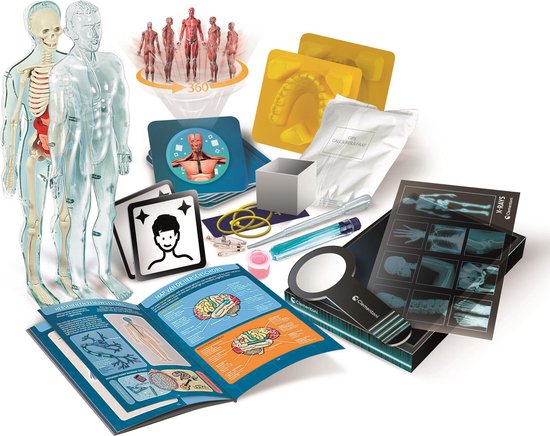 Anatomische modellen, boeken, tandenmodel en studiemateriaal verspreid.
