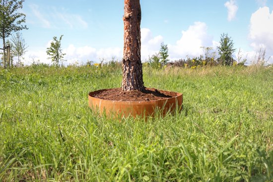 Boomring - Kantopsluiting cortenstaal - diam. 100 cm bij