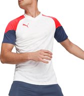 PUMA IndividualCUP Jersey Chemise de sport pour homme - Wit - Taille XL