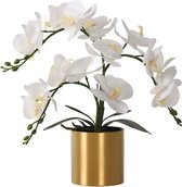 Kunstorchideeën met vaas, witte orchidee Bonsai Kunstorchideeën Phalaenopsis Plant Potarrangementen voor huisdecoratie (witte, gouden vaas)