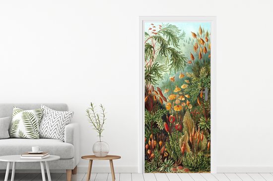 Sticker de porte Muscinae - Art - Maîtres anciens - 80x205 cm - Affiche de porte