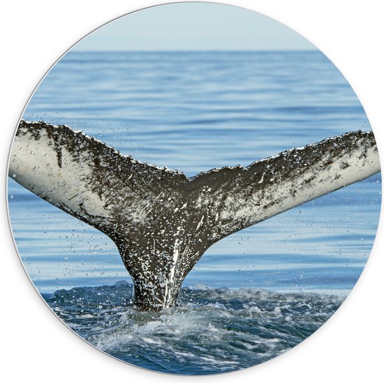 PVC Schuimplaat Muurcirkel - Staart van een walvis steekt uit boven het zeewater - 70x70 cm Foto op Muurcirkel (met ophangsysteem)