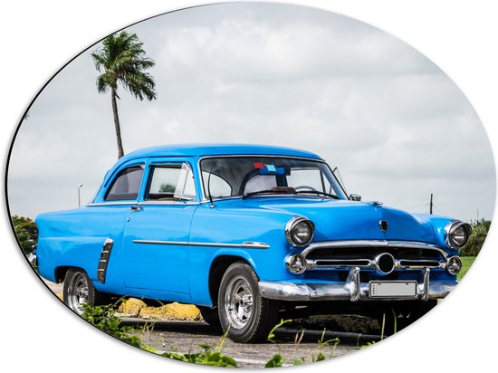 Dibond Ovaal - Oude Blauwe Vintage Auto bij Palmbomen - 56x42 cm Foto op Ovaal (Met Ophangsysteem)