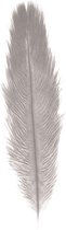 Chaks Struisvogelveer/sierveer - licht grijs - 55-60 cm - decoratie/hobbymateriaal