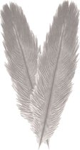 Chaks Struisvogelveer/sierveer - 2x - licht grijs - 55-60 cm - decoratie/hobbymateriaal