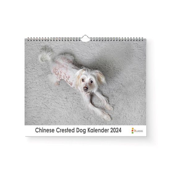 Kalender 2024 Chinese Crested 35x24cm 300gms Spiraalgebonden