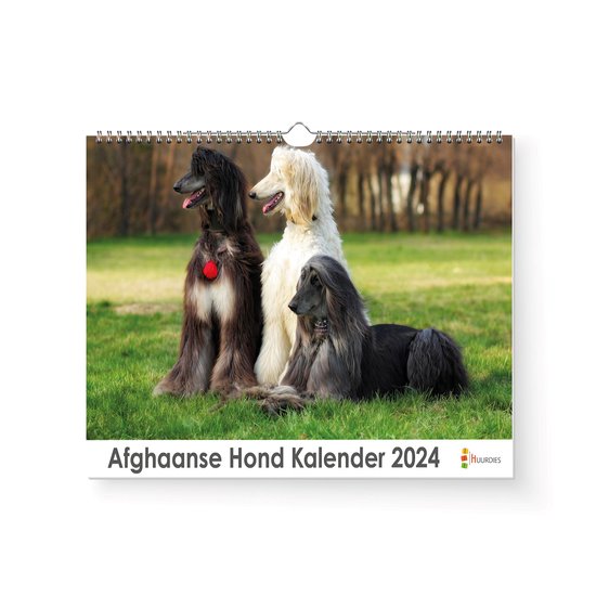 2026 Maandelijkse Wandkalender - Leuke Krokodil Spiraalgebonden