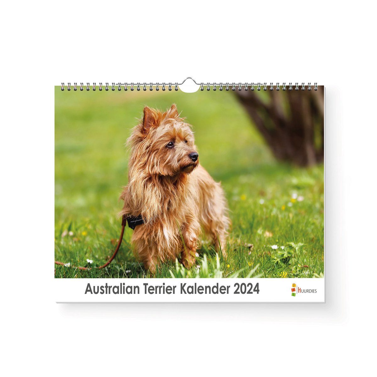 Kalender 2024 - Australian Terrier - 35x24cm - 300gms - Spiraalgebonden - Inclusief ophanghaak