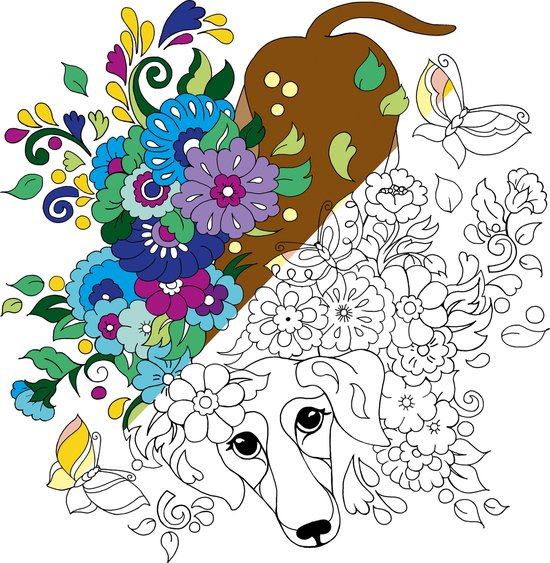 Masja van den Berg - Livre de coloriage de Masja - coloriage par numéro 2 - coloriage pour adultes