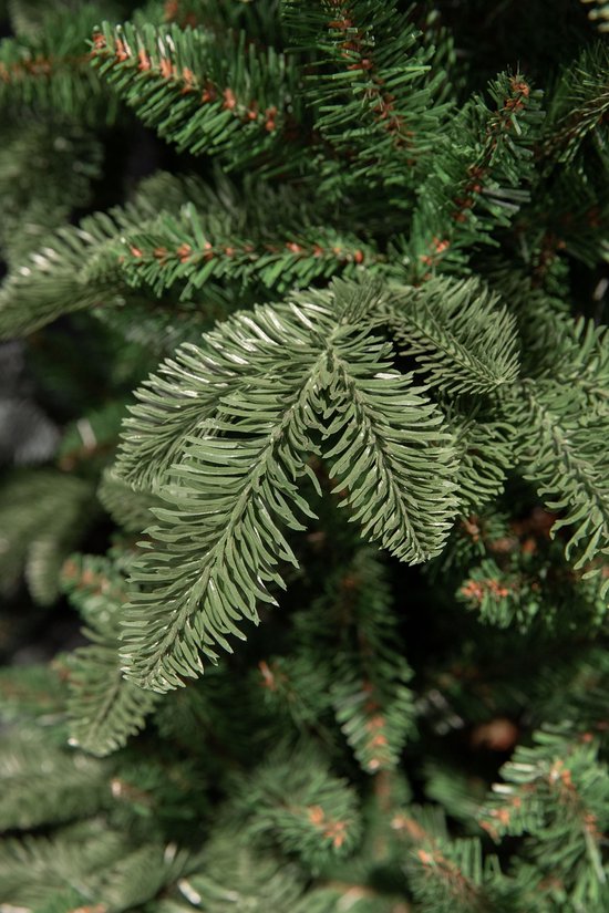 Triumph Tree Abies Nordmann Guirlande de Noël - L180 cm - Vert