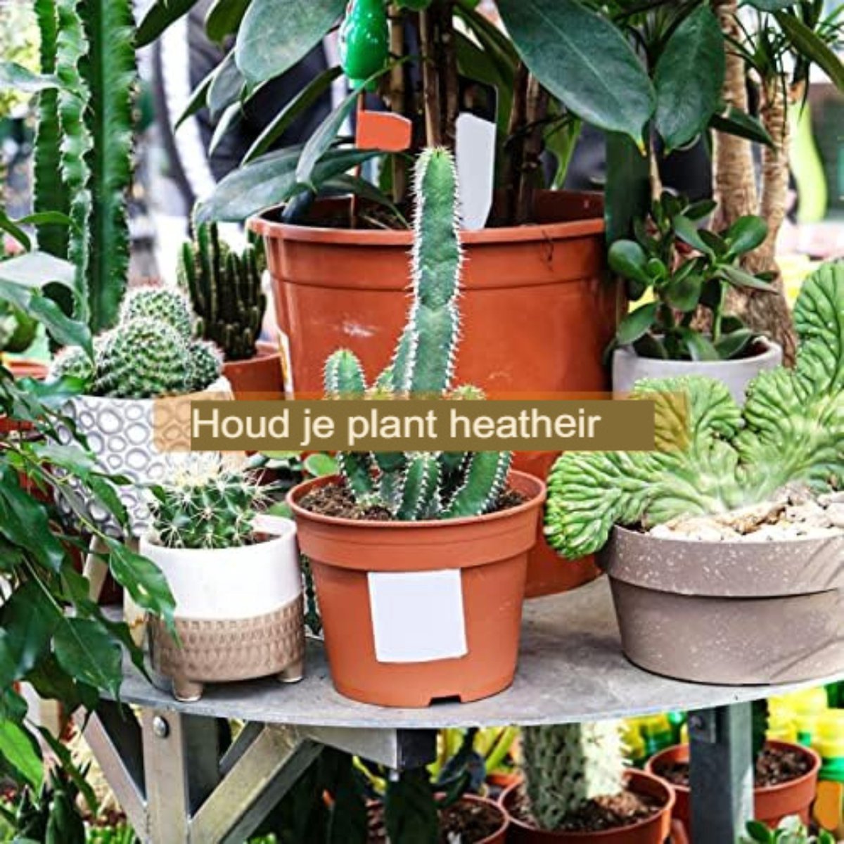 3 stuks waterpeilmeter voor planten 36CM, gietaanduiding