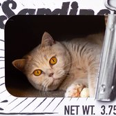 District 70 SARDINE - Design Katten Krabmeubel van gerecycled karton - Afmeting 60x30x30 cm - Zwart