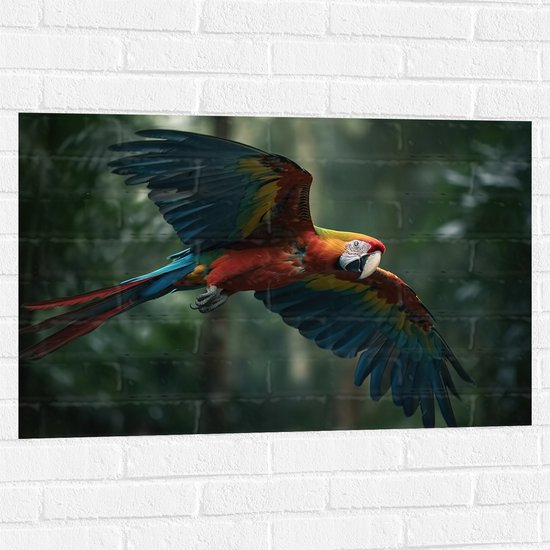 Muursticker - Vliegende ara papegaai in tropisch regenwoud - 90x60 cm Foto op Muursticker