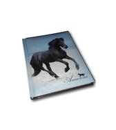 Lannoo - Notebook - Notitieboek Amazone - Fries Paard - Blanco Blaadjes