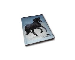 Lannoo - Notebook - Notitieboek Amazone - Fries Paard - Blanco Blaadjes