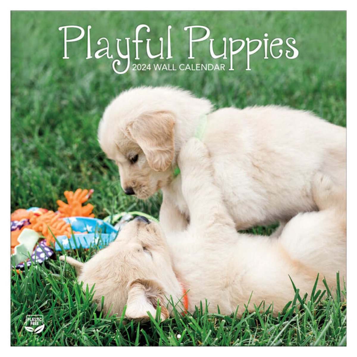 Playful Puppies Kalender 2024 TL Turner