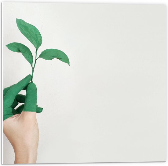 PVC Schuimplaat- Hand - Plantje - Geschilderd - Verkleurd - Overloop ...