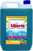 Liberté All in One Cleaner / Nettoyant désinfectant / 5L / Fougère