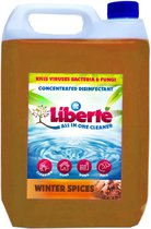 All in One Cleaner Winter Spices 5L - Desinfectie - Dieren - Huis - Auto - Kantoor - Schoonmaakmiddel