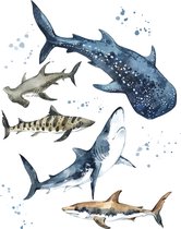 A4 Dive into Underwater Magic with Our Shark Wall Art Poster/ Duik in Onderwatermagie met Onze Shark Wall Art Poster/ Plongez dans la Magie Sous-Marine avec Notre Affiche d'Art Murale Requins
