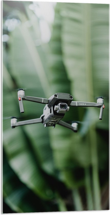 Acrylglas - Drone Vliegend tussen de Groene Palmbladeren - 50x100 cm Foto op Acrylglas (Wanddecoratie op Acrylaat)