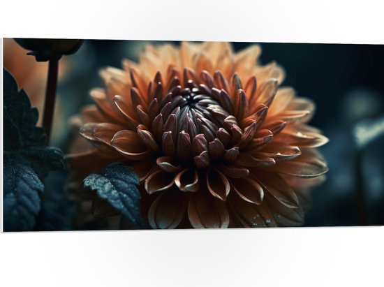 PVC Schuimplaat - Donker Oranje en Blauw Gekleurde Dahlie in het Donker - Bloemen - 100x50 cm Foto op PVC Schuimplaat (Met Ophangsysteem)