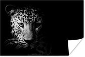 Poster Panter - Wilde dieren - Zwart wit - Dieren - 60x40 cm