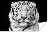 Poster Tijger - Zwart - Wit - Portret - Dieren - 120x80 cm