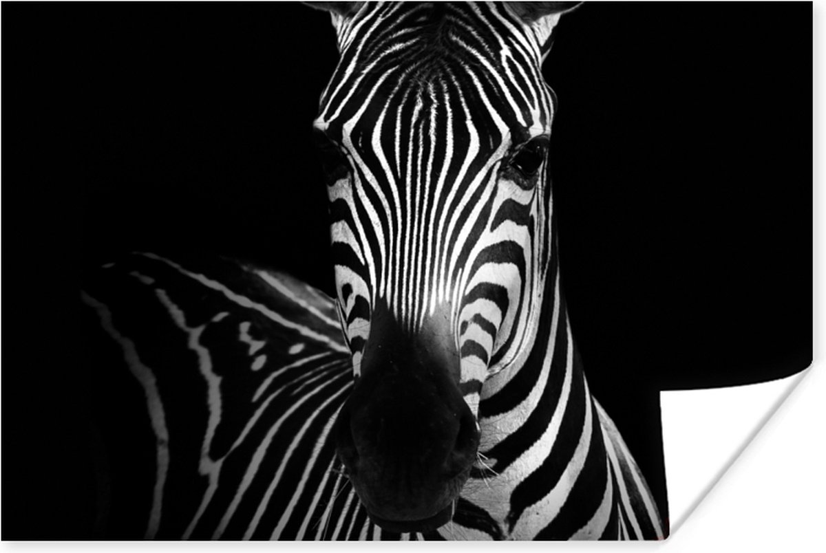 Poster Zebra - Zwart - Wit - Dieren - 90x60 cm