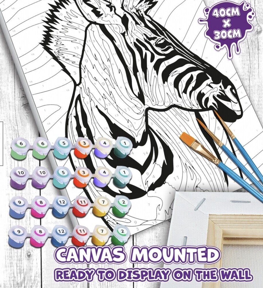 Lannoo - Creative Sets - Zebra - paint by numbers - 30 x 40cm
