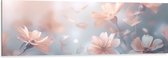 Dibond - Licht Roze Cosmea Bloemen met Wazige Blauwe Achtergrond - 150x50 cm Foto op Aluminium (Met Ophangsysteem)