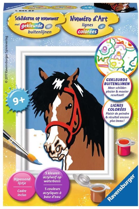 Schilderen op nummer: paardenblik