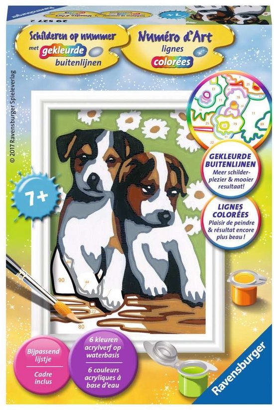 Schilderen op nummer: schattige puppies